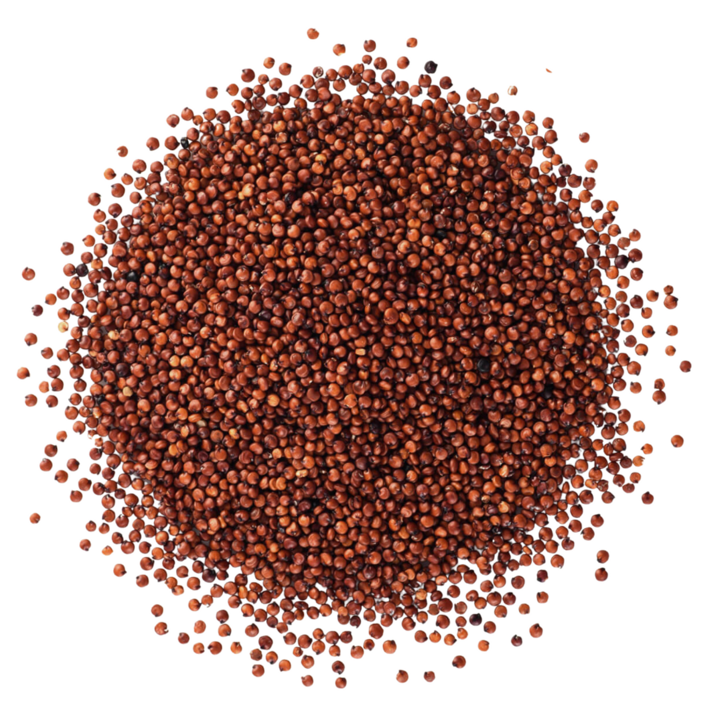 Quinoa
