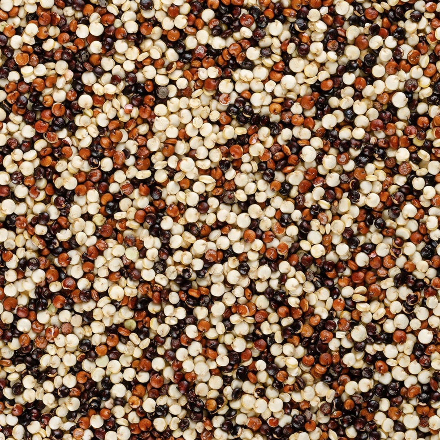 Quinoa